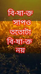 প্রেম এবং প্রয়োজন সম্পর্কের রহস্য Learning Time BD