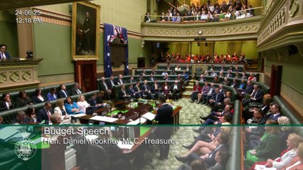 NSW budget 2025: NSW Treasurer's speech to parliament in full