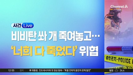 비비탄 쏴 개 죽여놓고…“너희 다 죽었다” 위협