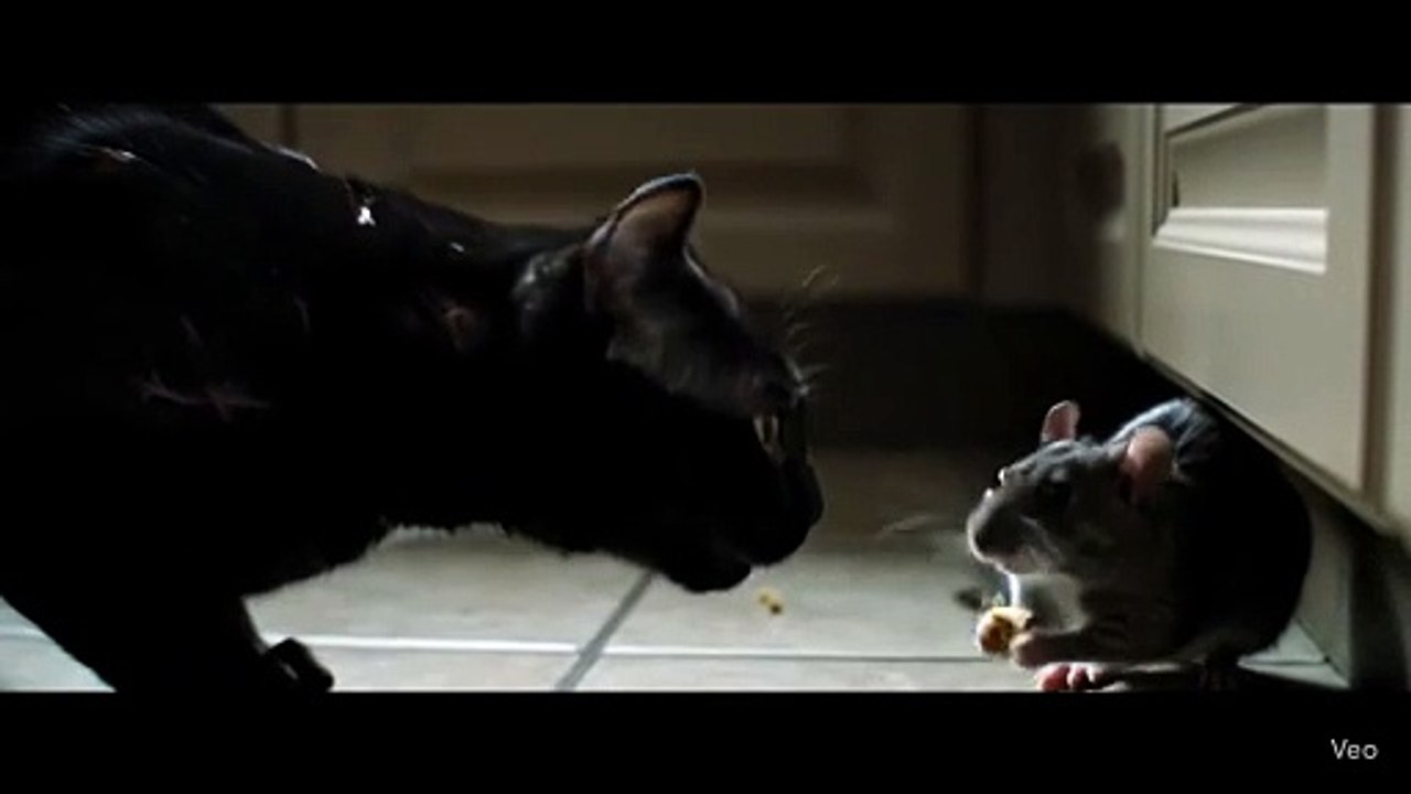 Cat_and_Mouse_Final_Standoff