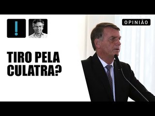 Mainardi: Circo de Bolsonaro 'seria um grande escândalo no mundo se o Brasil fosse relevante'