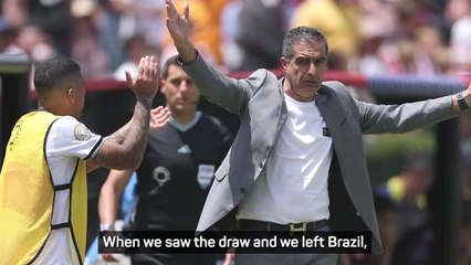 Botafogo coach says his side qualified 'against all odds'