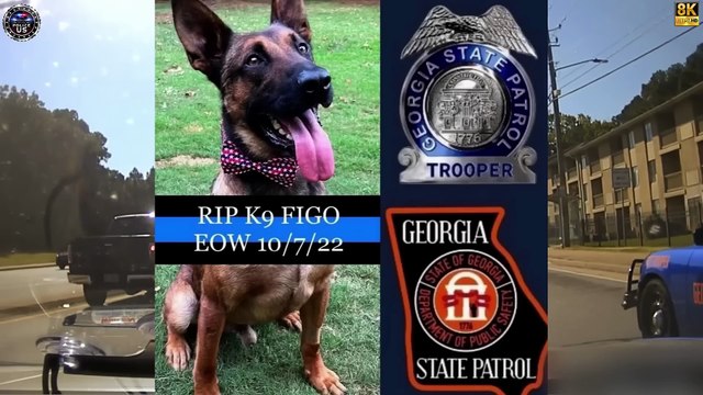 MOST BRUTAL High-Speed Police Chases Caught on Dashcam You Wouldn't Believe if Not Filmed #3KT