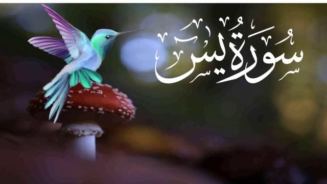 surah yaseen without translation Surah Yasin (Yaseen) سورة يس Relaxing heart touching voice