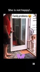 Girls were born to fight like this Meme Shorts Gone WILD! 😂🔥 Instant Laughs