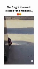 She eat like this Meme Shorts Gone WILD! 😂🔥 Instant Laughs