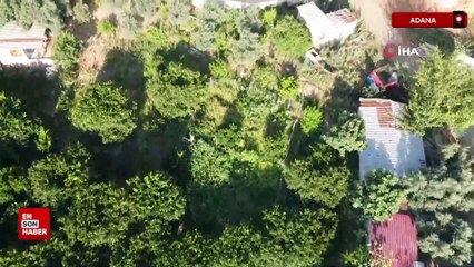 Adana’da çevre skandalı: Lağım suları Kilgen Çayı’na akıtılmış