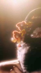 Endless Spring Love, Entangling the Empire