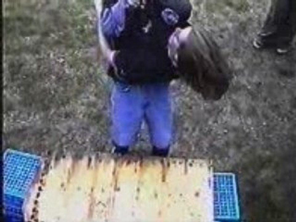 Face of Death - backyard wrestling exw - Deadly Powerbomb