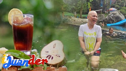 OFW sa Japan, gumaling daw sa sakit na leukemia dahil sa katas ng dahon ng guyabano?! | I Juander