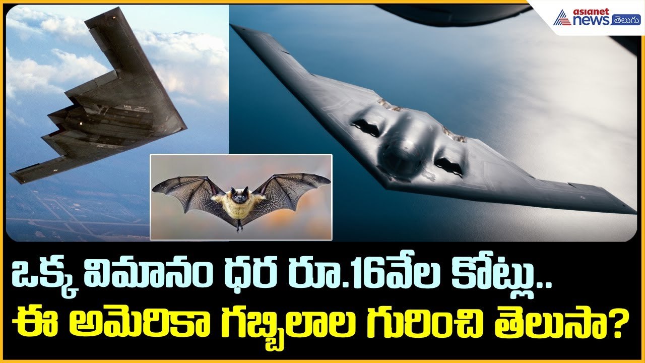 ఒక్క విమానం ధ‌ర రూ.16వేల కోట్లు.. ఈ అమెరికా గబ్బిలాల గురించి తెలుసా? | Asianet News Telugu