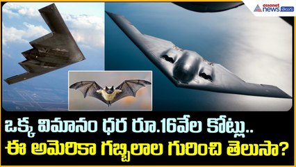 ఒక్క విమానం ధ‌ర రూ.16వేల కోట్లు.. ఈ అమెరికా గబ్బిలాల గురించి తెలుసా? | Asianet News Telugu