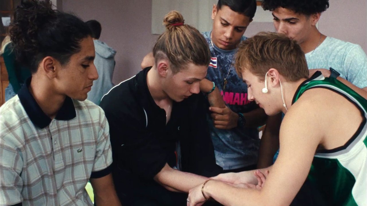 Wild Foxes Trailer OmeU