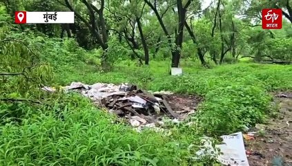 कॅन्सर झालेल्या आजीला नातवानं कचऱ्यात फेकलं? आरेच्या जंगलात सापडलेल्या यशोधरा आजीचं सत्य वेगळंच, खरी कहाणी काय? जाणून घ्या