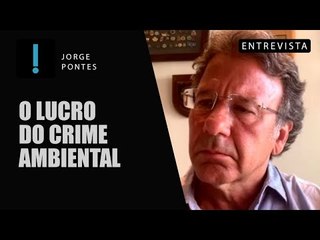 Conheça a história do combate da PF aos crimes ambientais