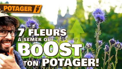 🌸 SEME ces 7 FLEURS et regarde TON POTAGER EXPLOSER ! 🚀🌱 (Semis & Conseils) 🌿