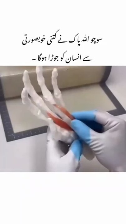 JOINTS ISLMIC VIDEO? HOW MAKE A JOINTS/ALLAH