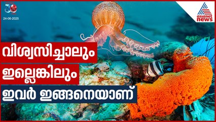 ഇവർ ഹൃദയമില്ലാതെ ജീവിക്കുന്നു