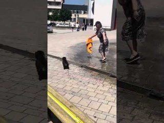 Dachshund Runs Around Water Fountain Escaping Owner's Hold