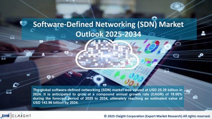 Software-Defined Networking (SDN) Market Report & Analysis by 2034