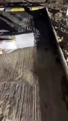 Patriot Missile Fragment Found in Qatar After Iranian Strike on Al Udeid Air Base