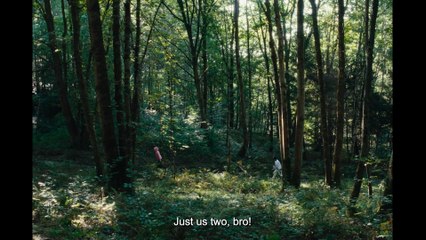 Wild Foxes  - La Danse des renards