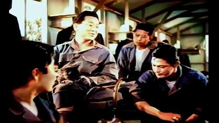 A por Todas  Película Completa en Español  Bélica  1951 HD