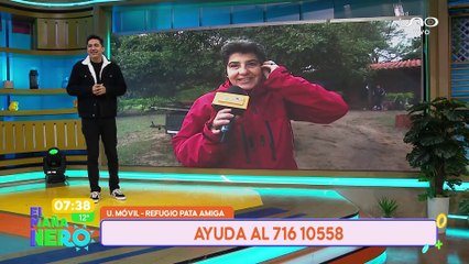 ¿QUÉ NECESITAN LOS PERRITOS EN ESTE FRÍO?