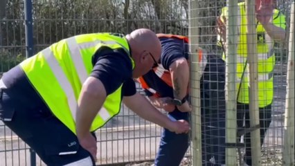 £250,000 tree planting project starts in Hartlepool