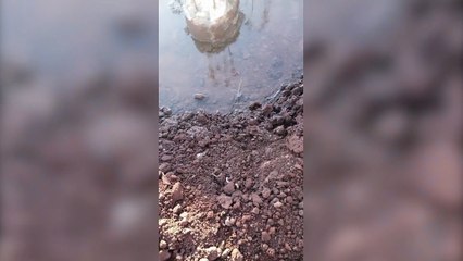 Internauta registra formação de gelo em obra no bairro Santo Onofre