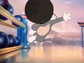 File_2024_11_23_05_43_49