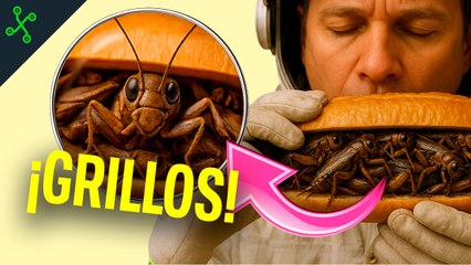 Las ENSALADAS espaciales podrían MATARNOS. El futuro está en COMER GRILLOS