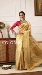 Festive Wardrobe Must-Haves: Add These Beautiful Saree Colors ✨👗