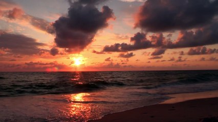 Calm nature with music videos/relaxing/calm/nature  videos