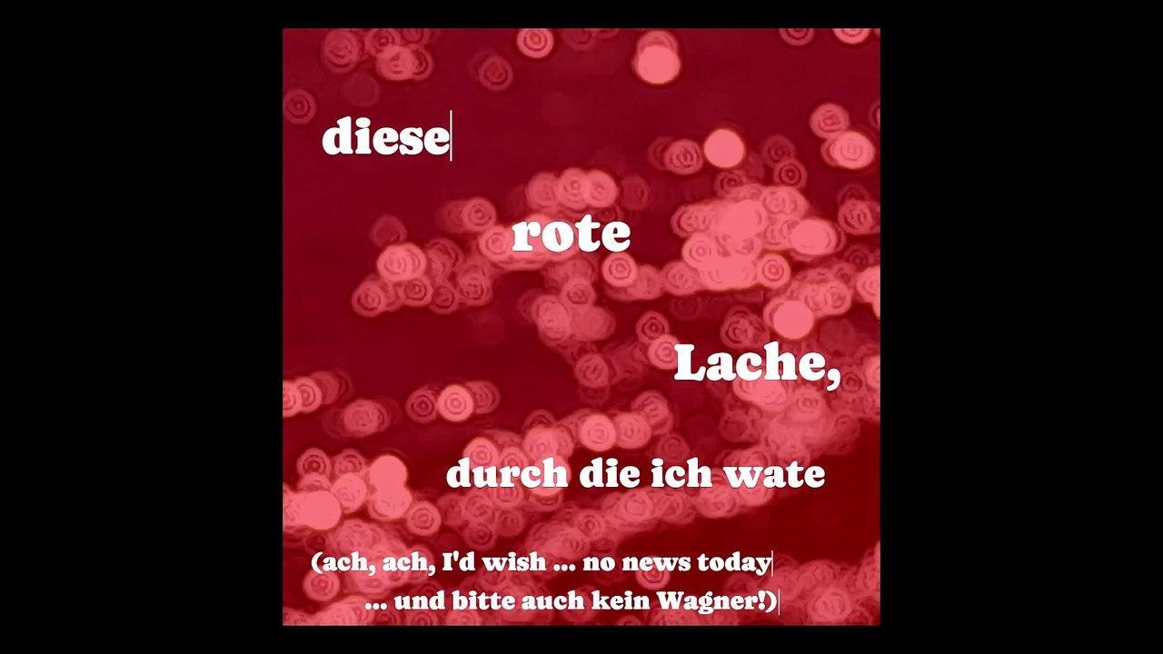 diese rote Lache, durch die ich wate