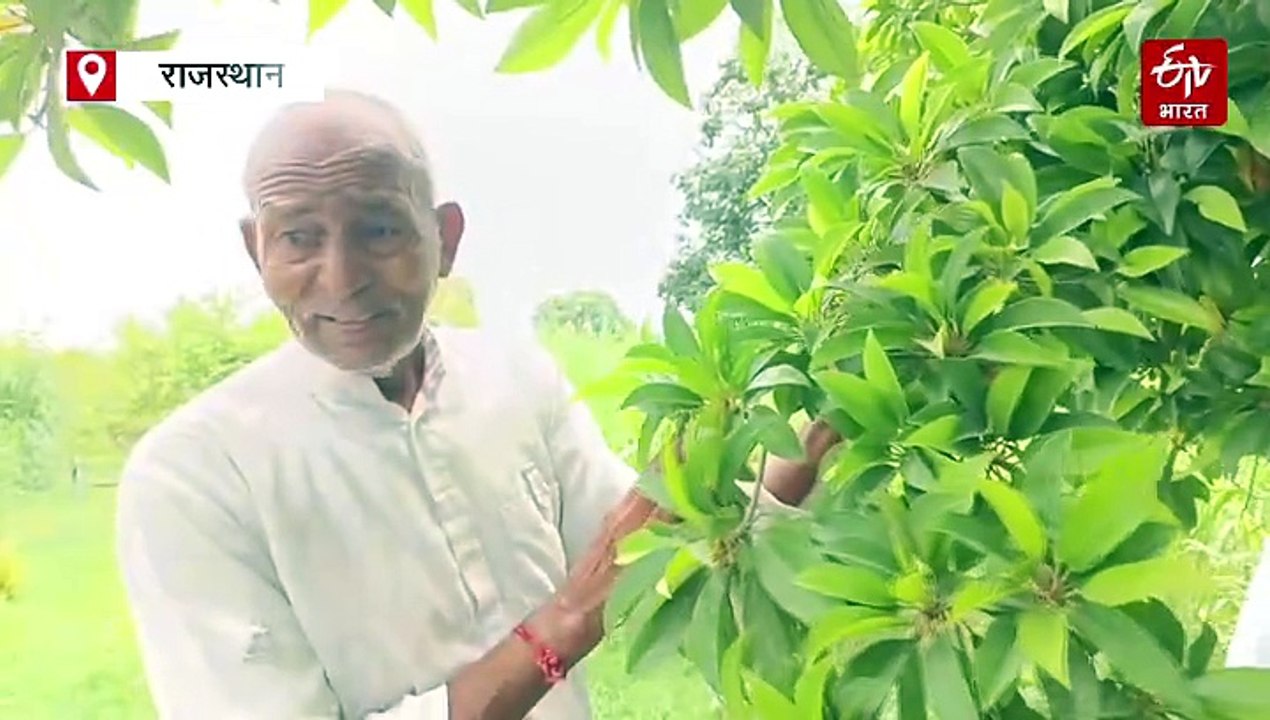 जैविक खेती: केंचुए की खाद से सुधर रही मिट्टी की सेहत, खेत में लहलहा रही फसल