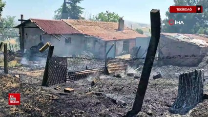 Tekirdağ'da çıkan yangın 2 eve sıçradı, 100 dönüm alan kül oldu