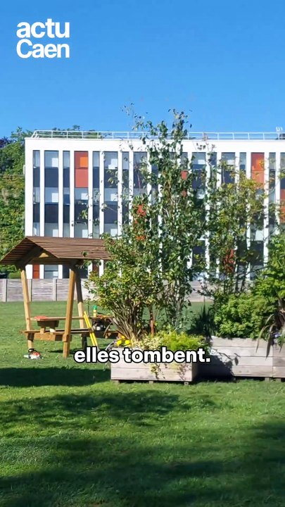 À Caen, les palissades République tombent