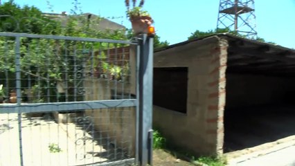 Rtp Telegiornale del 24 giugno 2025