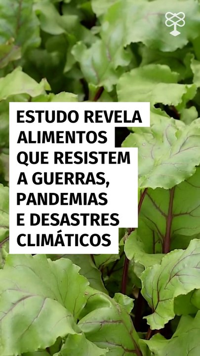 Estudo revela alimentos que resistem a guerras, pandemias e desastres climáticos