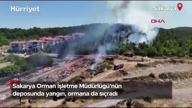 Sakarya Orman İşletme Müdürlüğü’nün deposunda yangın, ormana da sıçradı
