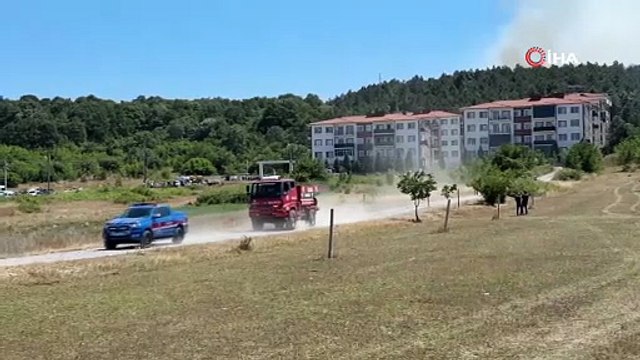 Sakarya’daki ormanlık alanda yangın: Havadan ve karadan müdahale ediliyor