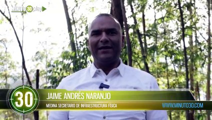 Árboles en riesgo serán talados en Provenza para proteger la vida y el ecosistema