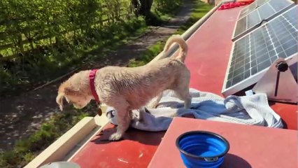 I was given two years to live so I bought a narrowboat