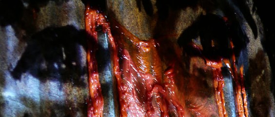 "Par les temps qui courent" / Compagnie Carabosse / 2018