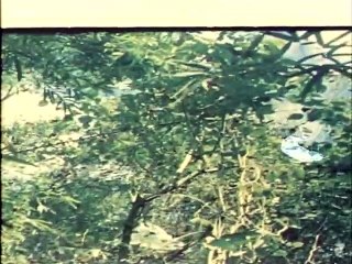 The Invincible Kung Fu Trio (1978) // Classic Kung Fu Movies