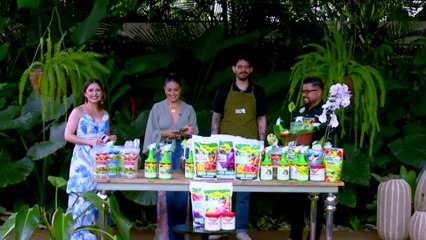 bd-publireportaje-evergreen-240625