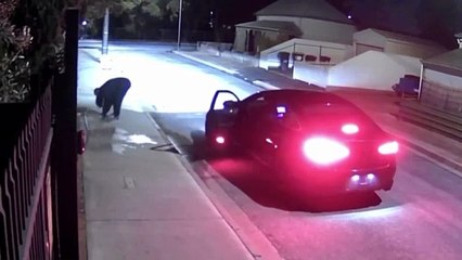 #شاهد .. حبو يحرقولو المحل .. تحرقت سيارتهم .. سبحان الله .. دعاوي الخير كي تتلاقى مع دعاوي الشر .. خلصو في البلاصة