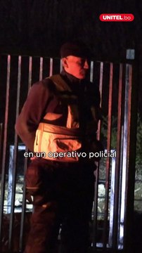 Mujer defiende a sus perros de dos canes más grandes y es atacada en plena calle en Paraguay