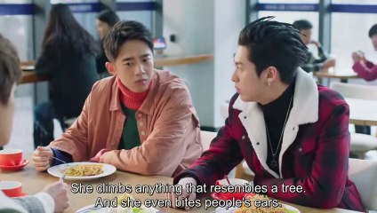 Meteor Garden Episode 20 [MULTI-SUB] | Shen Yue, Dylan Wang, Darren Chen, Caesar Wu, Connor Leong | Chinesse Drama